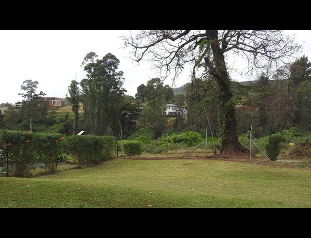 2 BEDROOM APARTMENT TO LET IN MONTROSE